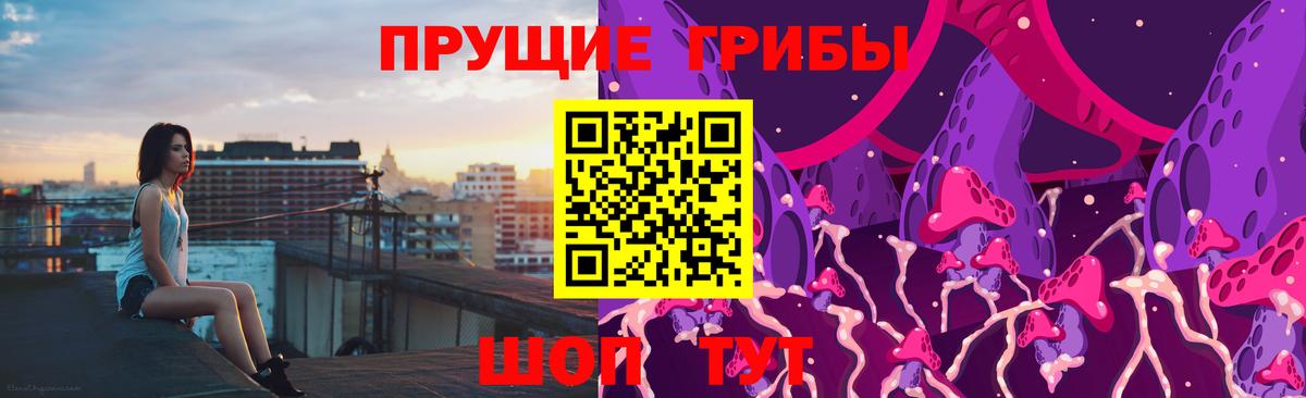 Псилоцибиновые грибы прущие грибы Донской